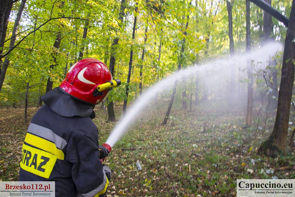 Statystyki wyjazdów do zdarzeń w 2019 roku jednostek OSP powiatu